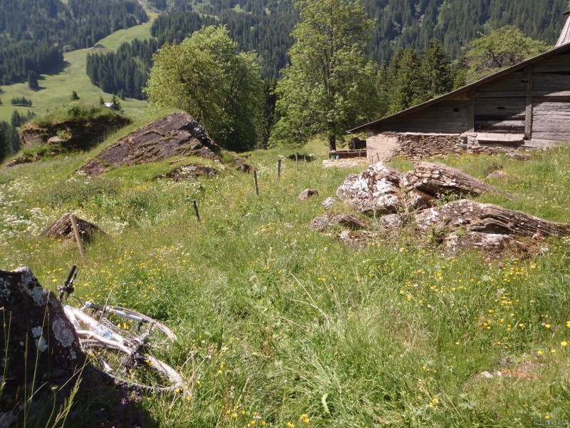 sentier ? : Il faut se fier aux piquets pour trouver le sentier car il y a peu de passage !