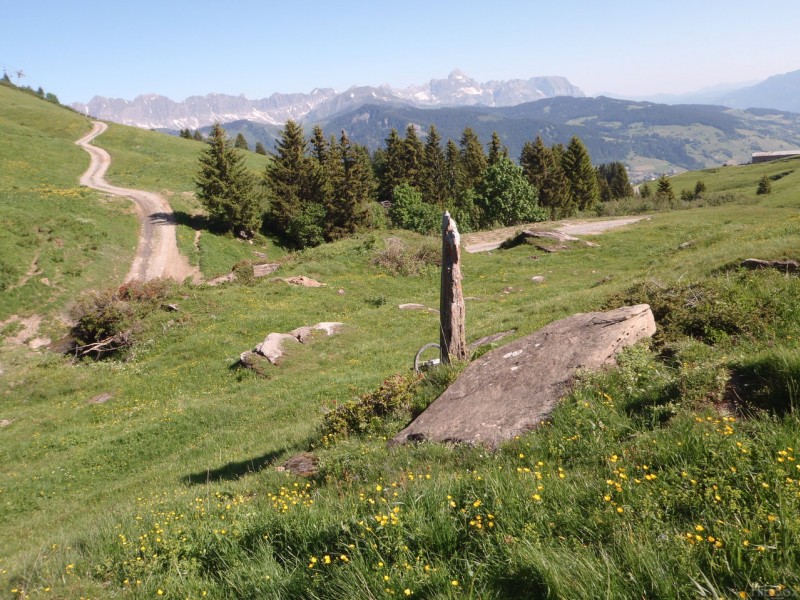 Ardoise tombée du ciel : Sous Ban Rouge