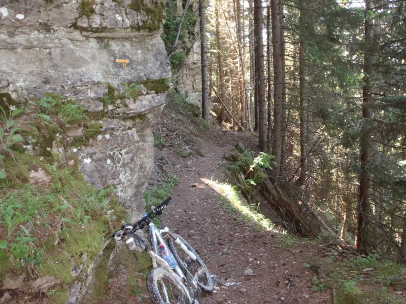 Sentier pour rejoindre Leutraz : Descente très difficile : cailloux, racines, pente