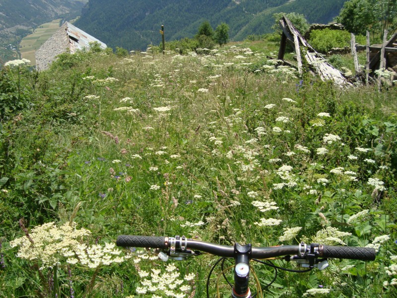 Tête des Raisins : si si, je suis sur le chemin aux Garcines...