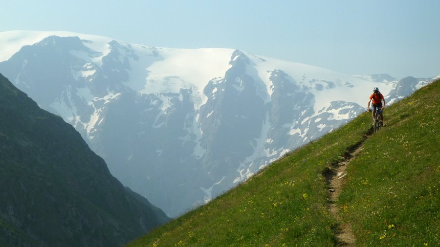 Allez hop dans l'alpage : Au dessus des Chalets du Rif Tort