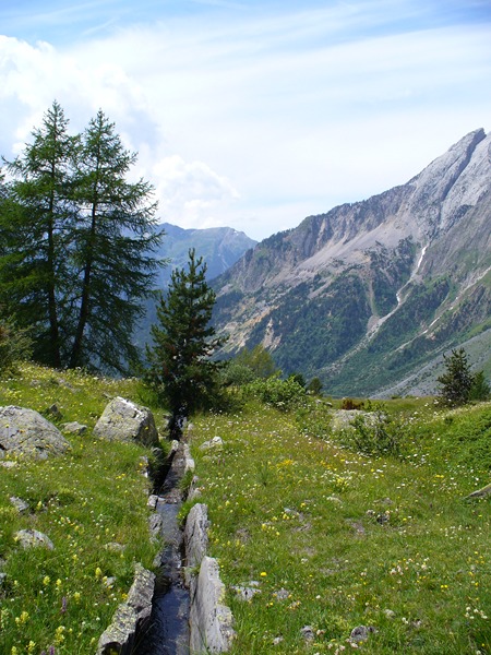 Sentier Montée : ... pour les mirettes :)