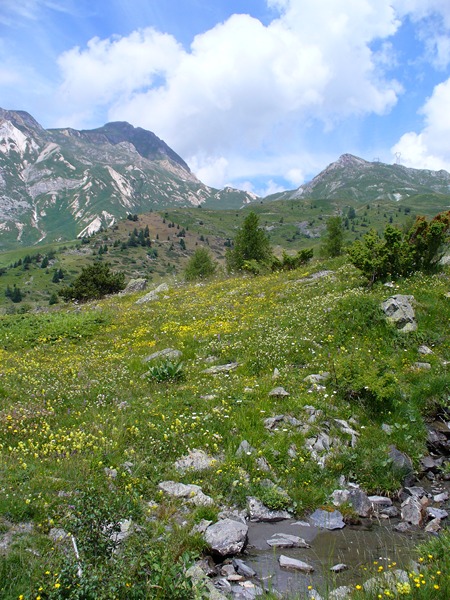 Sentier Montée : L'objectif se rapproche ...