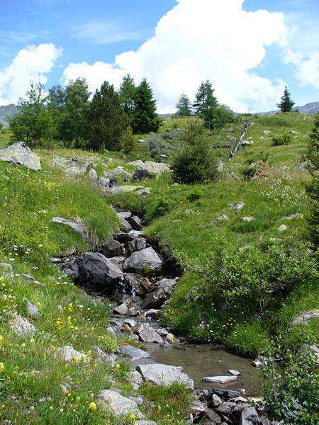 Sentier Montée : Du bonheur ...