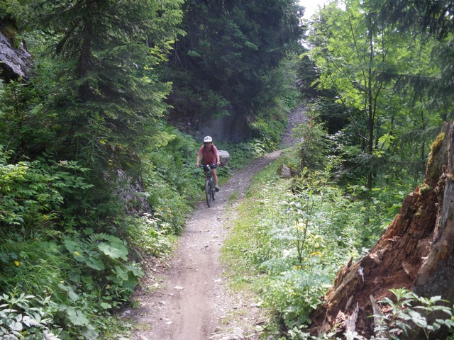 #5 Vers "Sous le va" : Fin de parcours dans les bois, surplombant Châtel. Vers "Sous le va" : Fin de parcours dans les bois, surplombant Châtel.