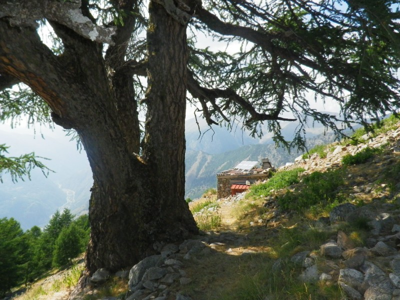 #9 merlier : On arrive à la cabane... merlier : On arrive à la cabane...