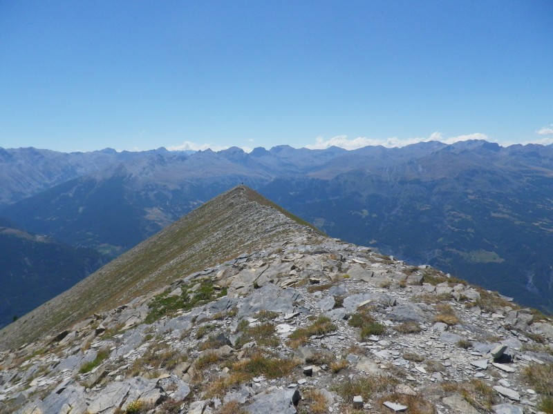 #7 jausier : arête qui se prolonge un peu... jausier : arête qui se prolonge un peu...