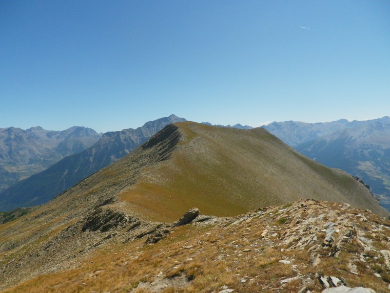 #5 jausier : belle arête... jausier : belle arête...