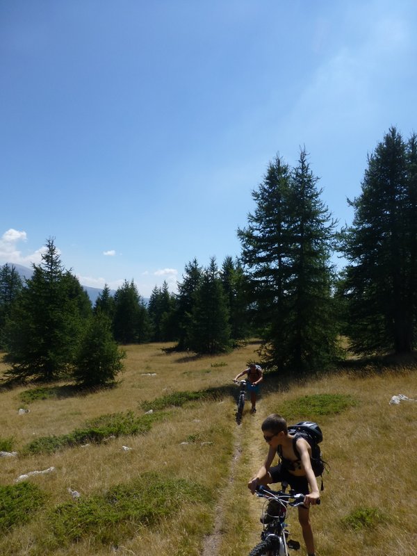 Fin de la forêt : Le cagnard est assommant