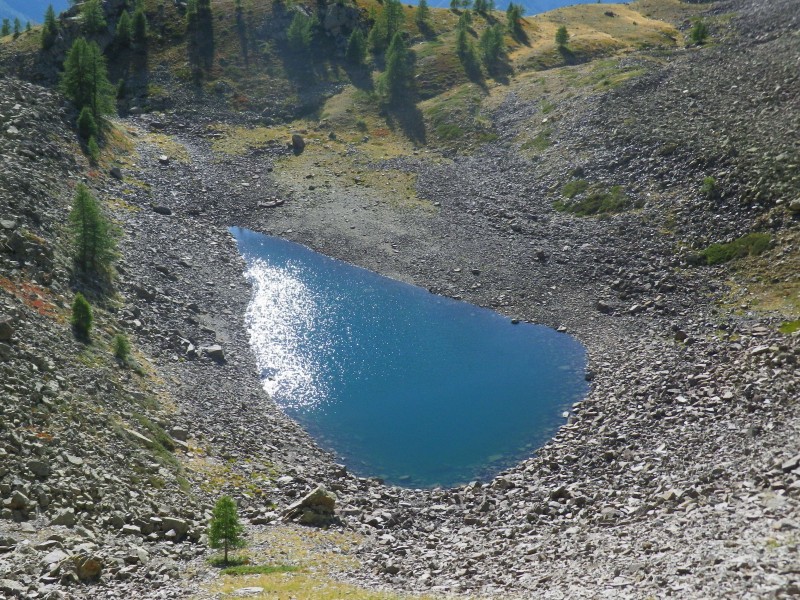 Lénergie : Pétrus étincelant