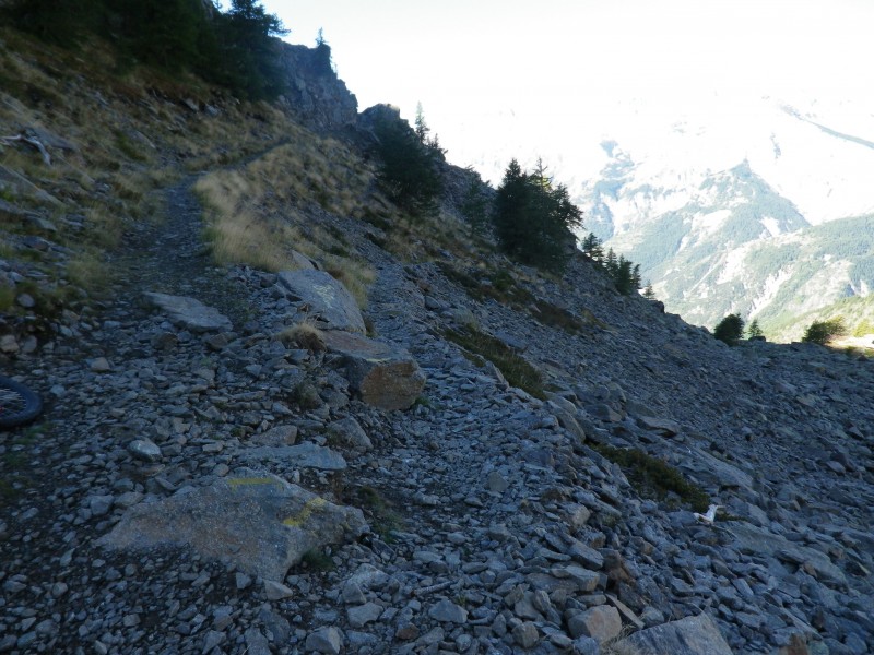 Pétrus : Départ.