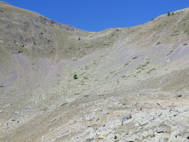 claÏ : Portage