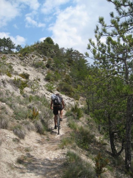 Col du Lion : Jolie petite portion roulante.