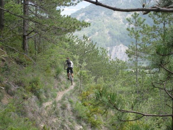 Leced en balcon : Malgré la dense végétation, la chute est interdite.