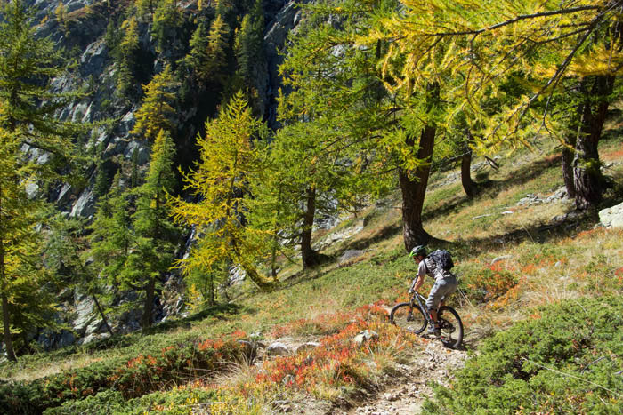 Vers le refuge du Malinvern : les belles couleurs automnales font leur apparition.