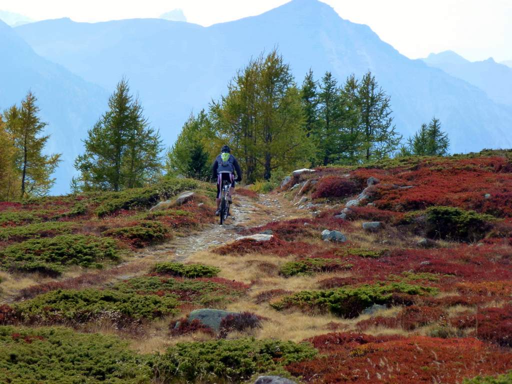 Niwenalp : De belles couleurs