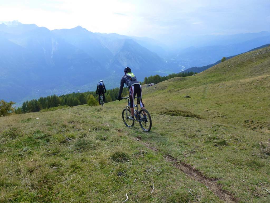 Niwenalp : Dans les prés cette fois