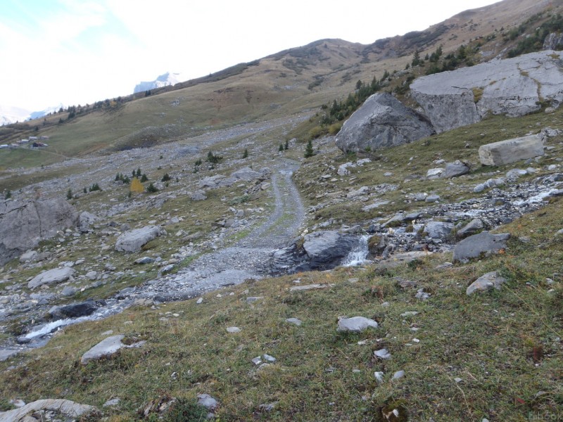 #2 Les Praz de Commune : Des rochers énormes qui se baladent au milieu des paturages. Les Praz de Commune : Des rochers énormes qui se baladent au milieu des paturages.