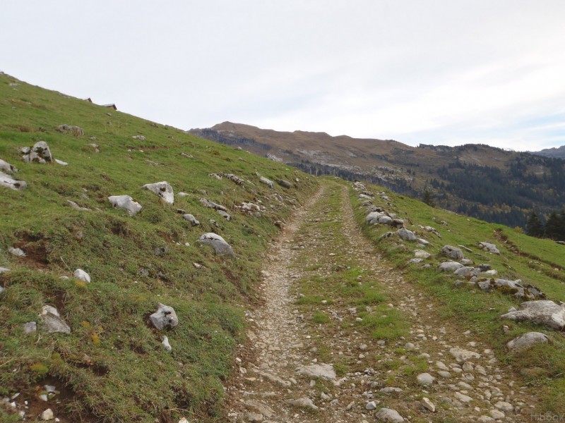 #5 Chemin du Criou : Juste avant d Chemin du Criou : Juste avant d'arriver aux chalets du Criou.