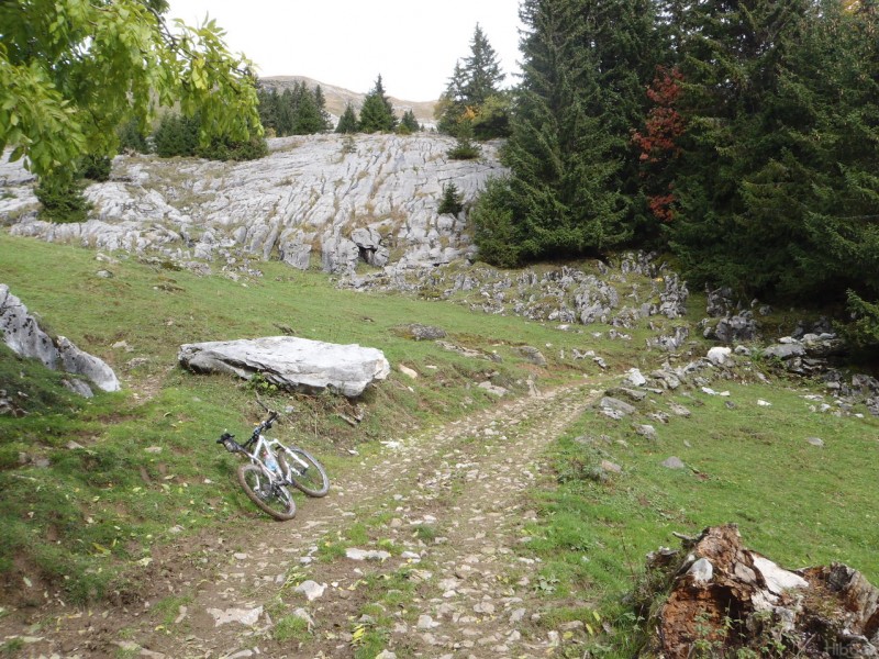 #6 Chemin du Criou : Les lapiaz du Criou Chemin du Criou : Les lapiaz du Criou