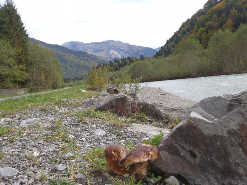 #11 Samoëns : Les bolets poussent au centre ville. Samoëns : Les bolets poussent au centre ville.