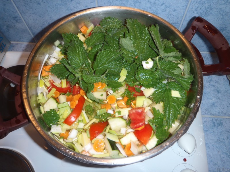 #12 Miam miam : Soupe de légumes avec orties du Criou. Miam miam : Soupe de légumes avec orties du Criou.