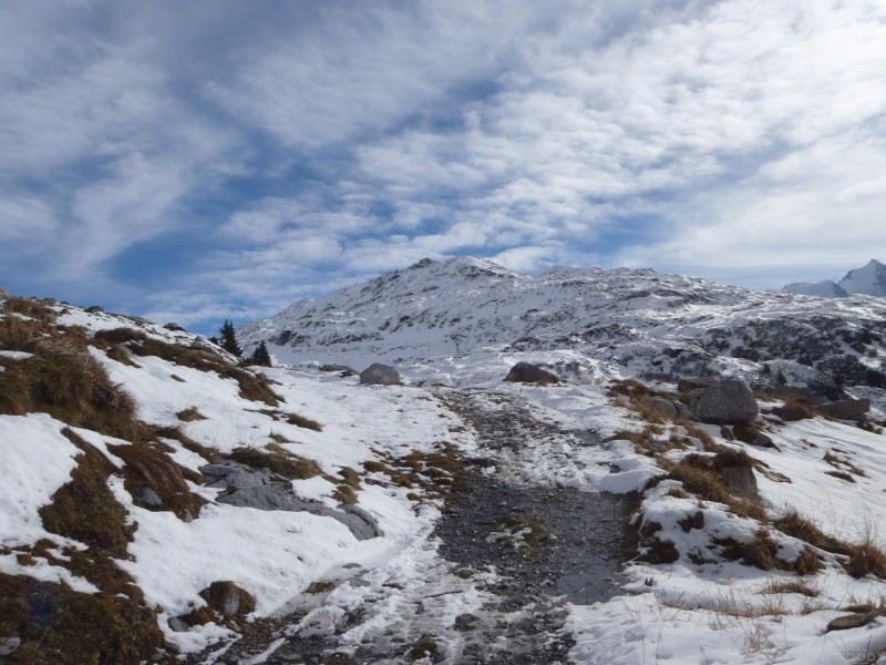 #4 Chemin du col D Chemin du col D'Anterne : Au sud la neige a disparu.