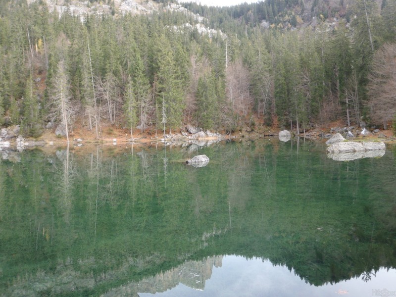 Lac Vert : C'est le reflet des sapins qui donne cette couleur.