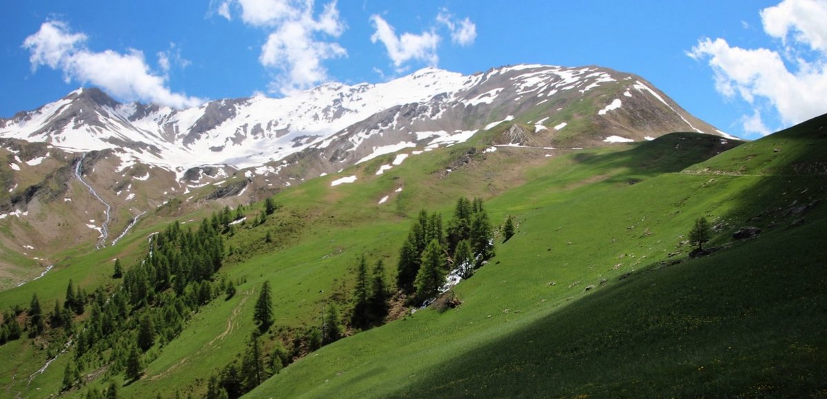 Grand Parpaillon : vert printemps pour l'alpage