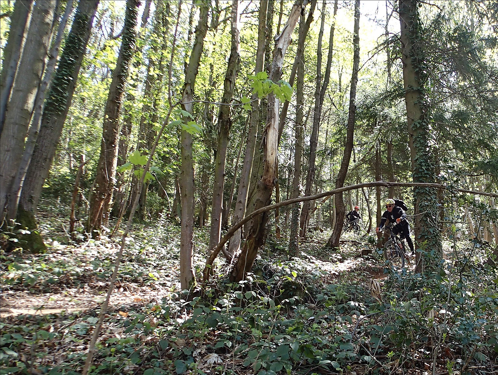 Dans l'Enduro de Bellevue...